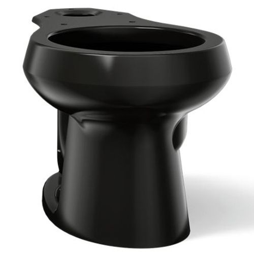 Main product image of Wellworth Round-front Toilet Bowl (Black), K-4197-7