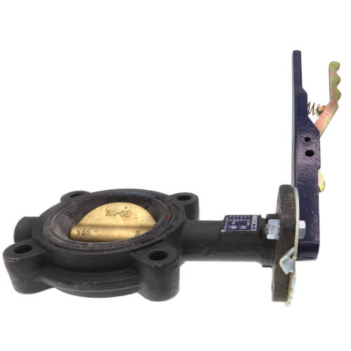 Main product image of 3" Lug Cast Iron Butterfly Valve, EPDM, Lever Handle (200 PSI)