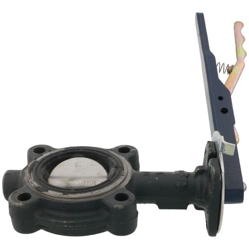Main product image of 2.5" Lug Ductile Iron Butterfly Valve, EPDM, SS Disc, Lever Handle (250 PSI)