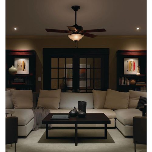 Main product image of Maestro Fan Control & Light Dimmer for Dimmable LEDs, Incandescent, and Halogen Bulbs (Palladium)