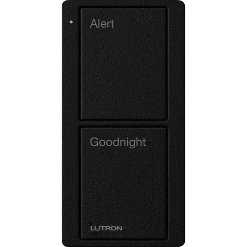 Main product image of Pico 2-Button Wireless Smart Remote for Programmable Scene Control, Entry Icon Engraving (Satin Midnight), PJ2-2B-TMN-P01