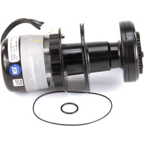 Main product image of Water Pump 115v 60hz, 2008489
