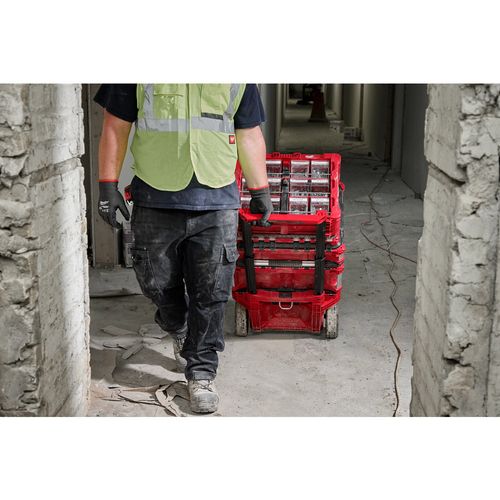 Main product image of PACKOUT Tilt Bin Organizer