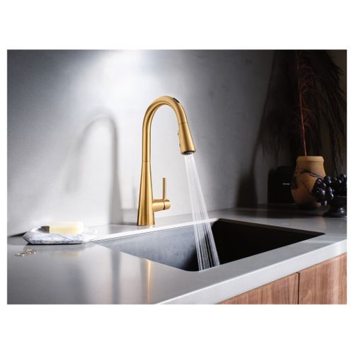 Main product image of Sleek Brushed Gold 1 Handle Pulldown Kitchen Faucet, 7864EVBG