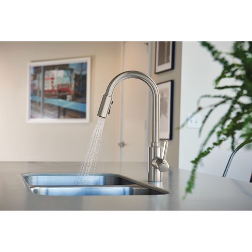 Main product image of Genta Lx Spot Resist Stainless 1 Handle Pulldown Kitchen Faucet, 7882SRS