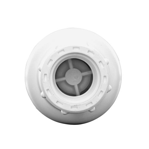 Main product image of 1/2" IPS PVC Spring Check Valve w/ 1/2# Spring (Threaded)