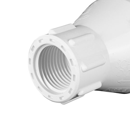 Main product image of 1/2" IPS PVC Spring Check Valve w/ 1/2# Spring (Threaded)