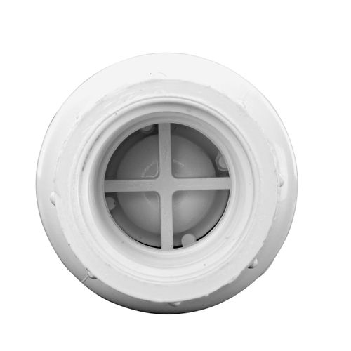Main product image of 1" IPS PVC Spring Check Valve w/ 1/2# Spring (Threaded)