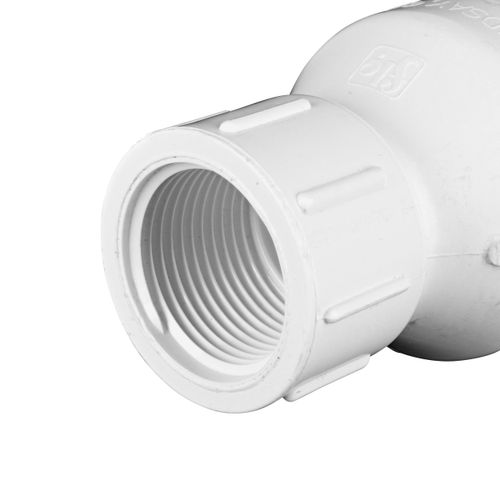 Main product image of 1" IPS PVC Spring Check Valve w/ 1/2# Spring (Threaded)