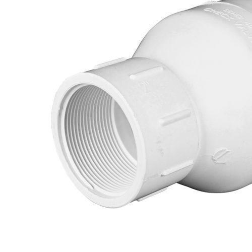 Main product image of 2" IPS PVC Spring Check Valve w/ 1/2# Spring (Threaded)