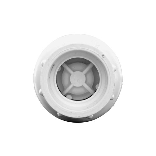 Main product image of 3/4" IPS PVC Spring Check Valve w/ 1/2# Spring (Solvent)