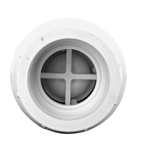 Main product image of 1" IPS PVC Spring Check Valve w/ 1/2# Spring (Solvent)