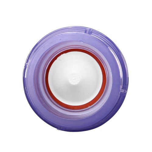 Main product image of 2" PVC Clear Spa Spring Check Valve (5 lbs)