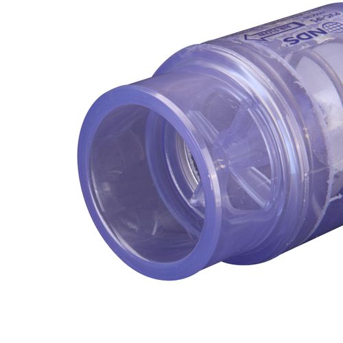 Main product image of 2" PVC Clear Spa Spring Check Valve (5 lbs)