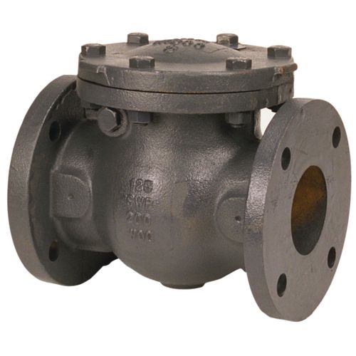 Main product image of 4" Cast Iron Flanged Swing Check Valve, Class 125