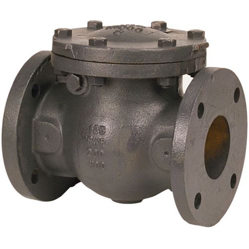 Main product image of 2" Cast Iron Swing Check Valve, F-918-B (Flanged)