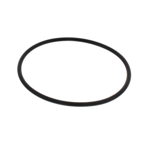 Main product image of Lid O-Ring for NP48 & 24DD