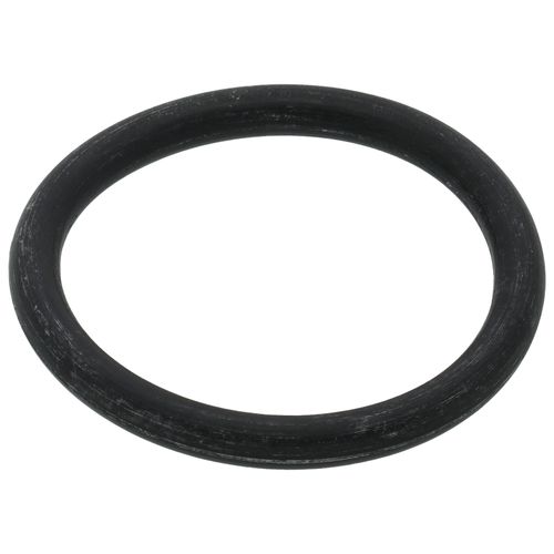 Main product image of O-ring (P20), NPD035