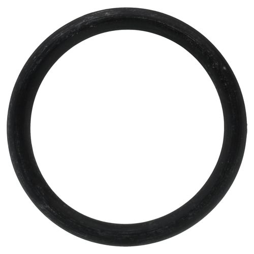 Main product image of O-ring (P20), NPD035