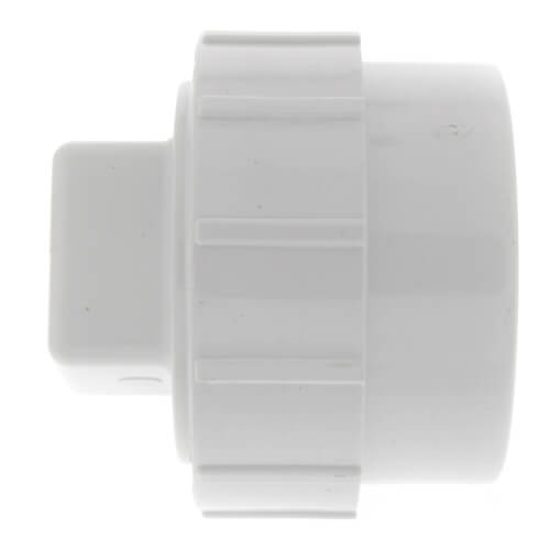 P105X020 P105X020 2" PVC DWV Fitting Cleanout Adapter w/ Plug