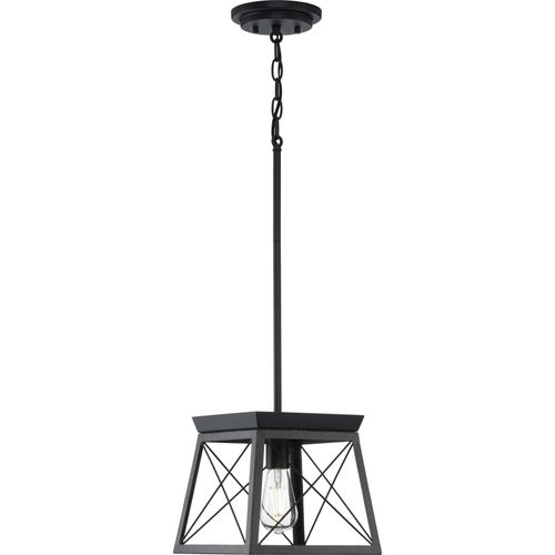 Main product image of Briarwood 1 Light Textured and Cerused Black Farmhouse Style Hanging Mini-Pendant Light