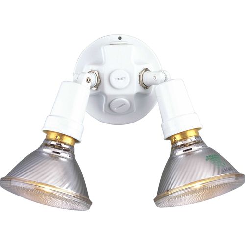 Main product image of 2 Light Adjustable Swivel Flood Light