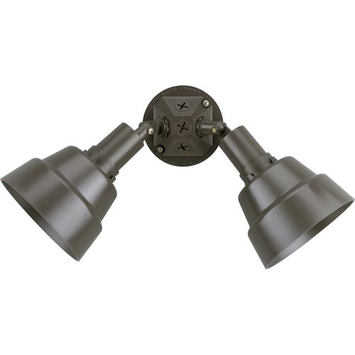 Main product image of 2 Light Adjustable Swivel Flood Light