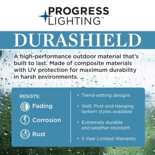 Main product image of Grandbury 1 Light Small Wall Lantern w/ DURASHIELD