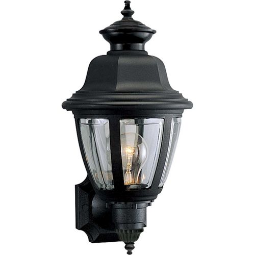 Main product image of Non-Metallic Incandescent 1 Light Wall Lantern