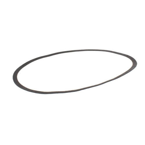 Main product image of P58542 Adapter Ring Gasket (for Series 60 Pumps)