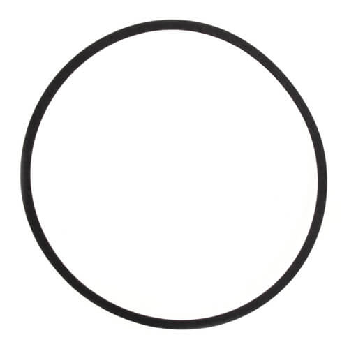 Main product image of P58542 Adapter Ring Gasket (for Series 60 Pumps)