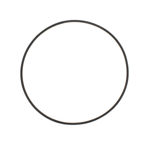 Main product image of P80742 Volute Gasket (for Series VSC & VSCS Pumps)