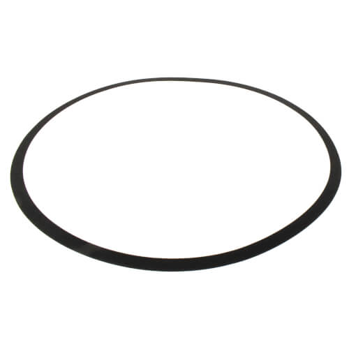 Main product image of Volute Gasket (Series 1510)
