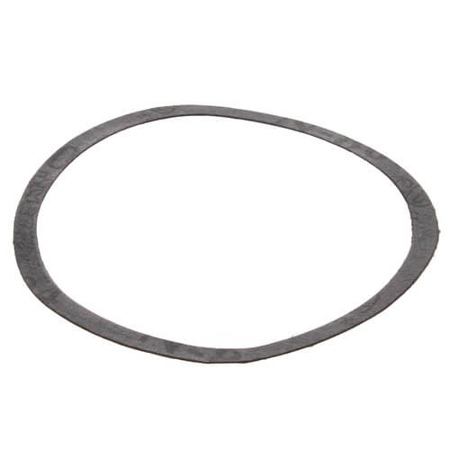 Main product image of Front Bearing Gasket for Series 100 Pumps