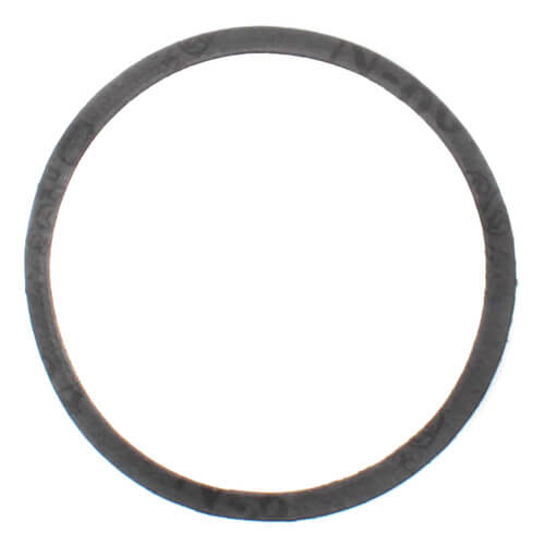 Main product image of Front Bearing Gasket for Series 100 Pumps