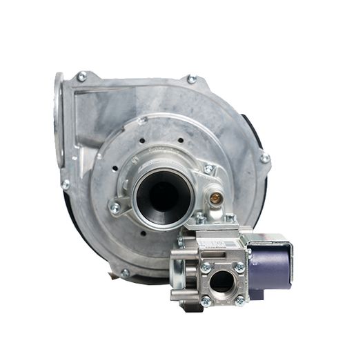 Main product image of Blower Fan Assembly for EF High Efficiency Series, 243-46010-01