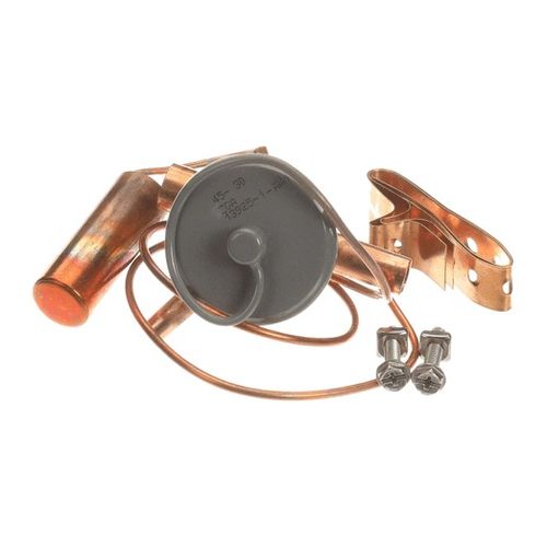 Main product image of Sporlan Bbize-6-GA, Expansion, 100679-74