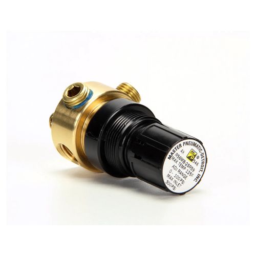 Main product image of Regulator 0-100 Psi Gas 1/4Npt Port, 00683058