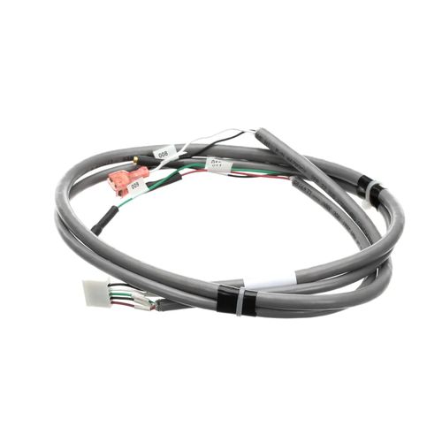 Main product image of Wire Harness, Probe, LDD, Nitrogen Beverage Dispenser, 2183908