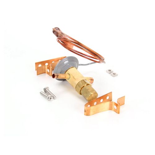 Main product image of Thermo Expansion Valve Fbj-1/8-C 25 Psig, 325-60022-01