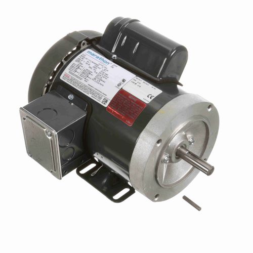 Main product image of D313 General Purpose Motor