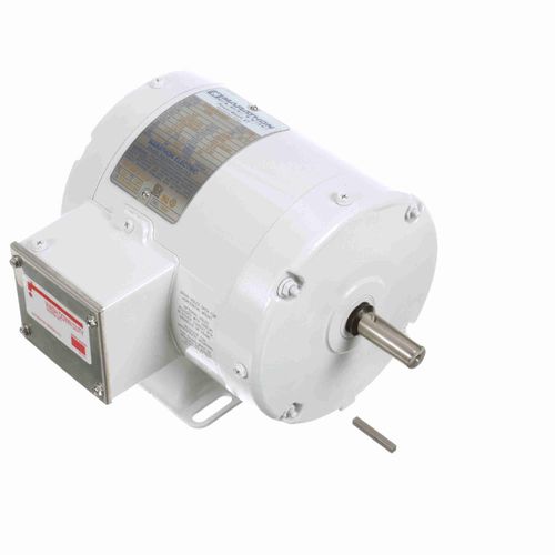 Main product image of E286 White Epoxy Washdown Motor