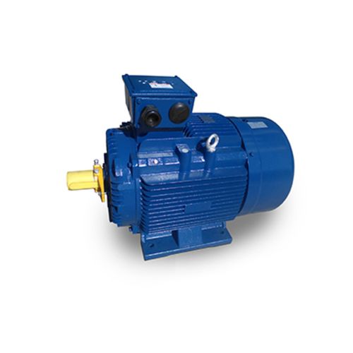 Main product image of MP0022 IEC Motor