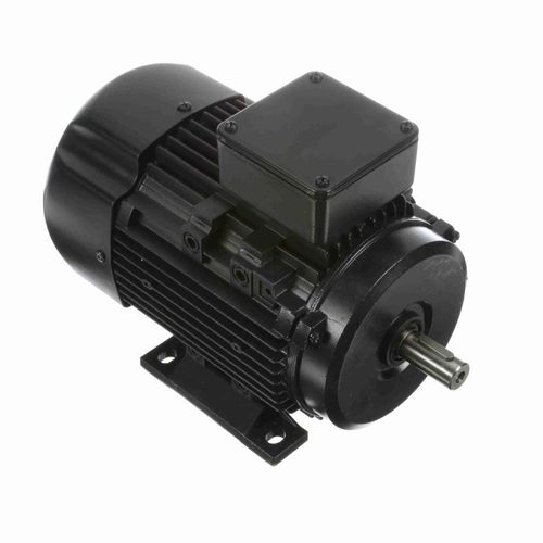 Main product image of R313A IEC Motor
