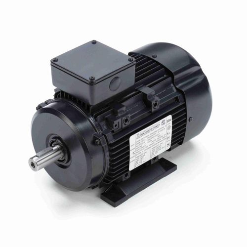 Main product image of R319A IEC Motor