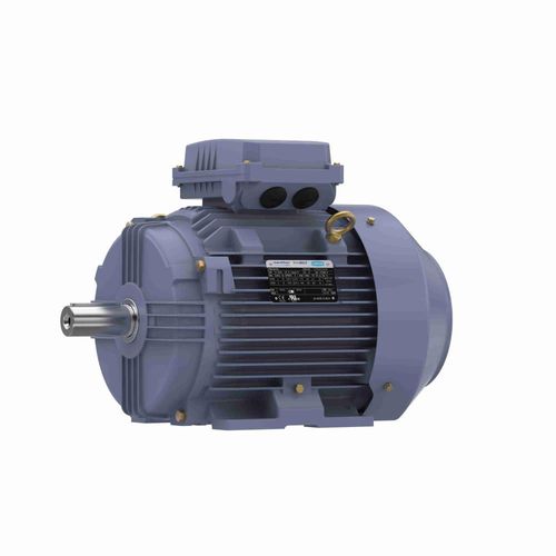 Main product image of R330B IEC Motor