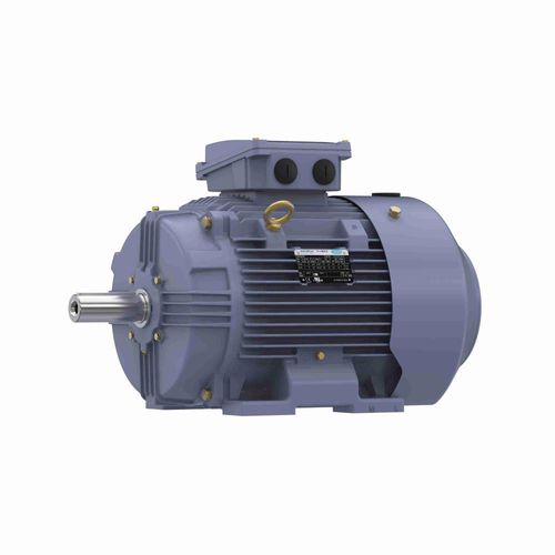 Main product image of R333B IEC Motor