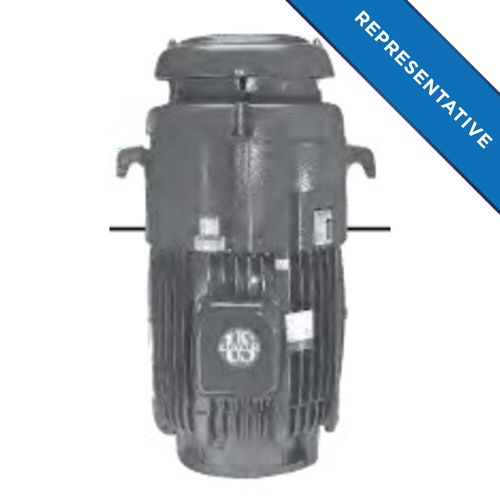 Main product image of NO25P2BE Vertical Solid Shaft Motor