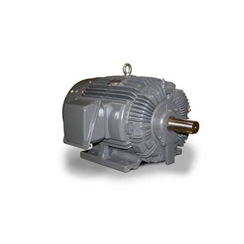 NP0032 General Purpose Motor