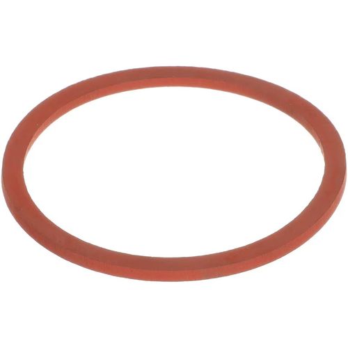 Main product image of Lower Inside Globe Gasket, F1710-2